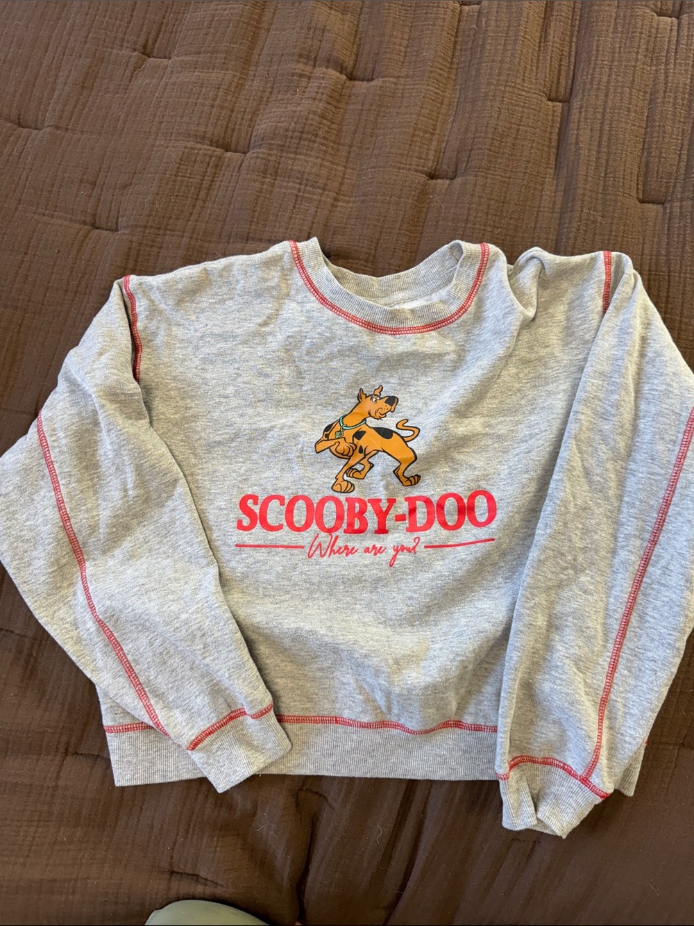 Scooby-Doo Girls' Gray Sweatshirt with Pink Logo Trim